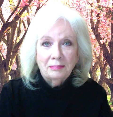 Andrea 2025 lightened